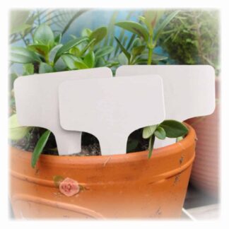 Kasvien nimikyltit 50 kpl